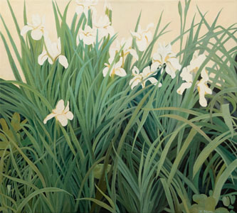 Iris (weiss)
